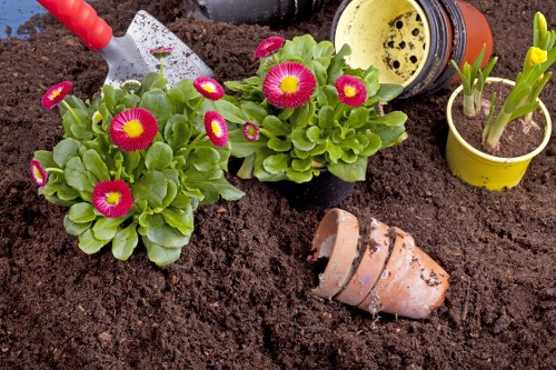 Gardener assessing a garden bed