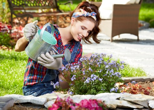 Professional garden clearance in progress