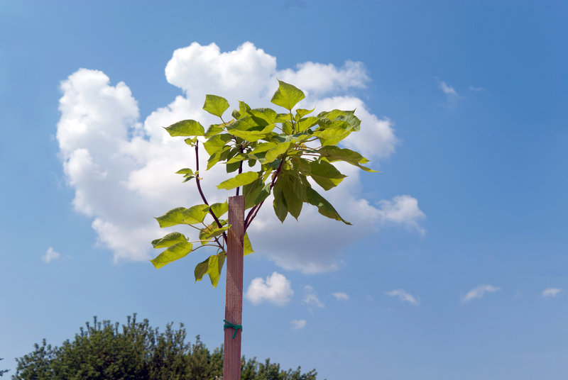 irrigation system Lawn