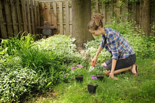 Expert gardener maintaining a lush Edmonton landscape